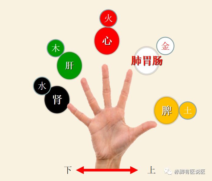 中医基础第二版22：10分钟学会看手诊病